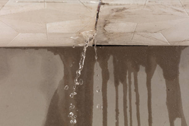 Professional Water Damage Restoration technician working in Holden, MA